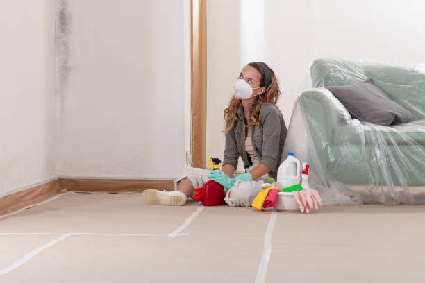 Reliable Mold Removal contractor in North Bergen, NJ by WQB Mold Removal